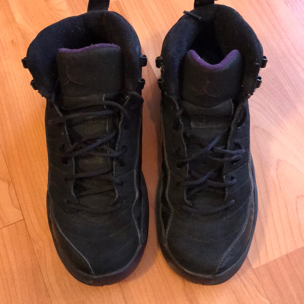 Air Jordan 12